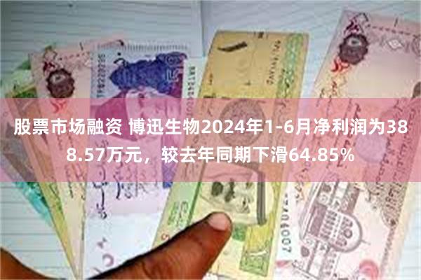 股票市场融资 博迅生物2024年1-6月净利润为388.57万元，较去年同期下滑64.85%