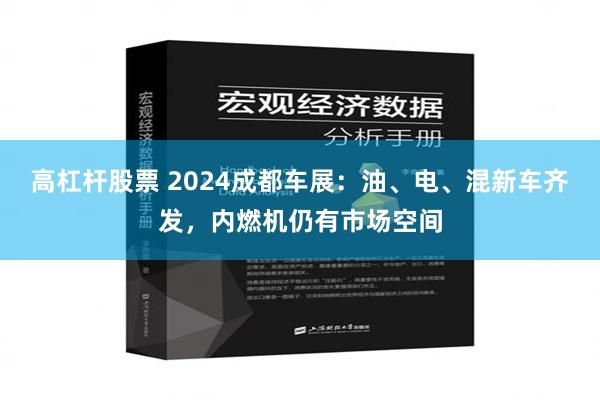 高杠杆股票 2024成都车展：油、电、混新车齐发，内燃机仍有市场空间