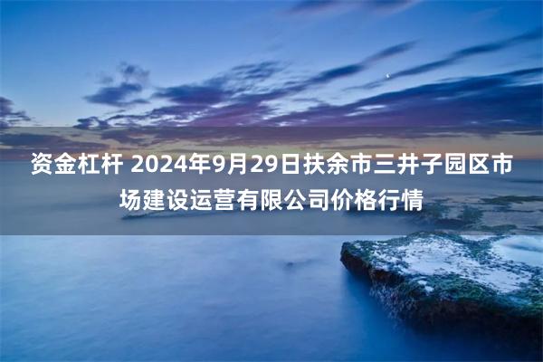 资金杠杆 2024年9月29日扶余市三井子园区市场建设运营有限公司价格行情