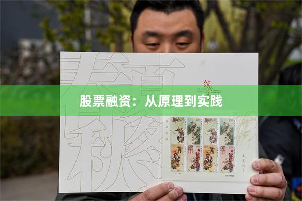 股票融资：从原理到实践