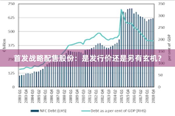 首发战略配售股份：是发行价还是另有玄机？