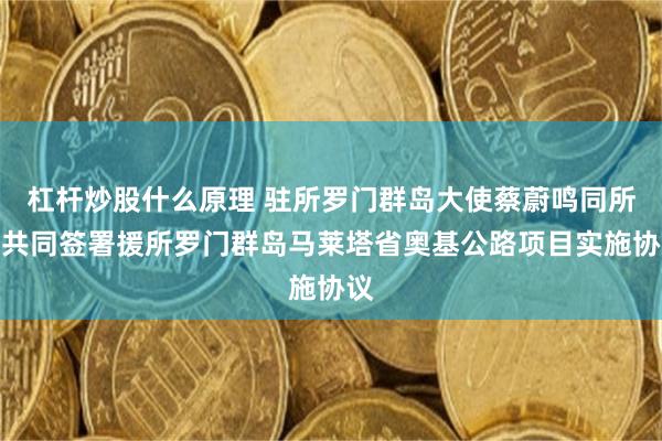 杠杆炒股什么原理 驻所罗门群岛大使蔡蔚鸣同所方共同签署援所罗门群岛马莱塔省奥基公路项目实施协议