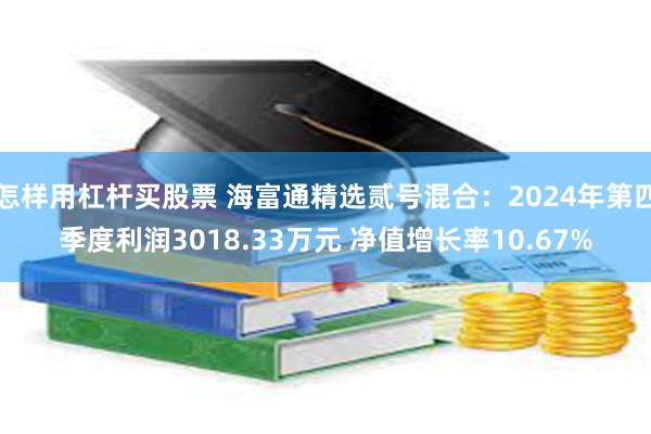 怎样用杠杆买股票 海富通精选贰号混合：2024年第四季度利润3018.33万元 净值增长率10.67%