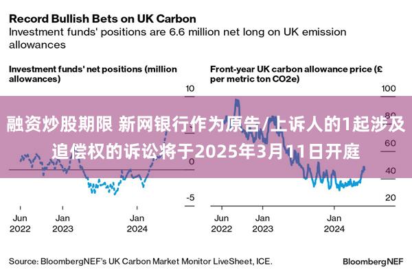 融资炒股期限 新网银行作为原告/上诉人的1起涉及追偿权的诉讼将于2025年3月11日开庭